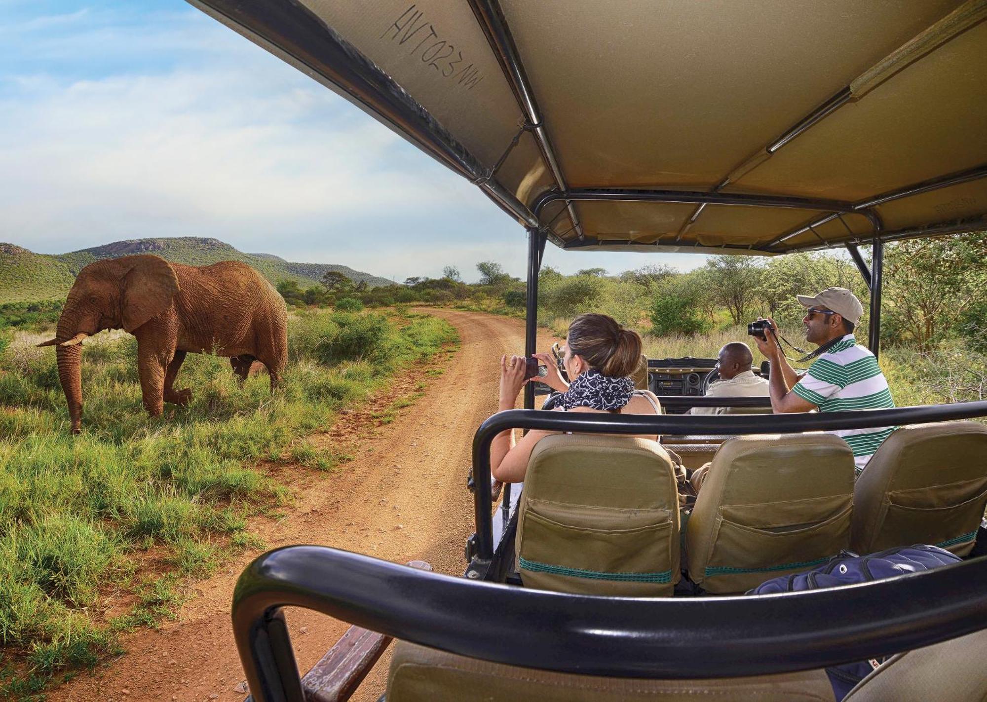 Madikwe River Lodge By Dream Resorts Madikwe Game Reserve Exterior photo