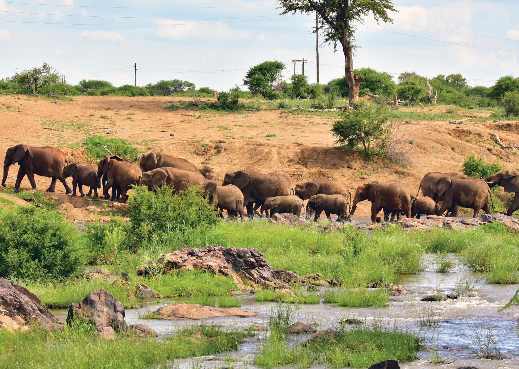 Madikwe River Lodge By Dream Resorts Madikwe Game Reserve Exterior photo