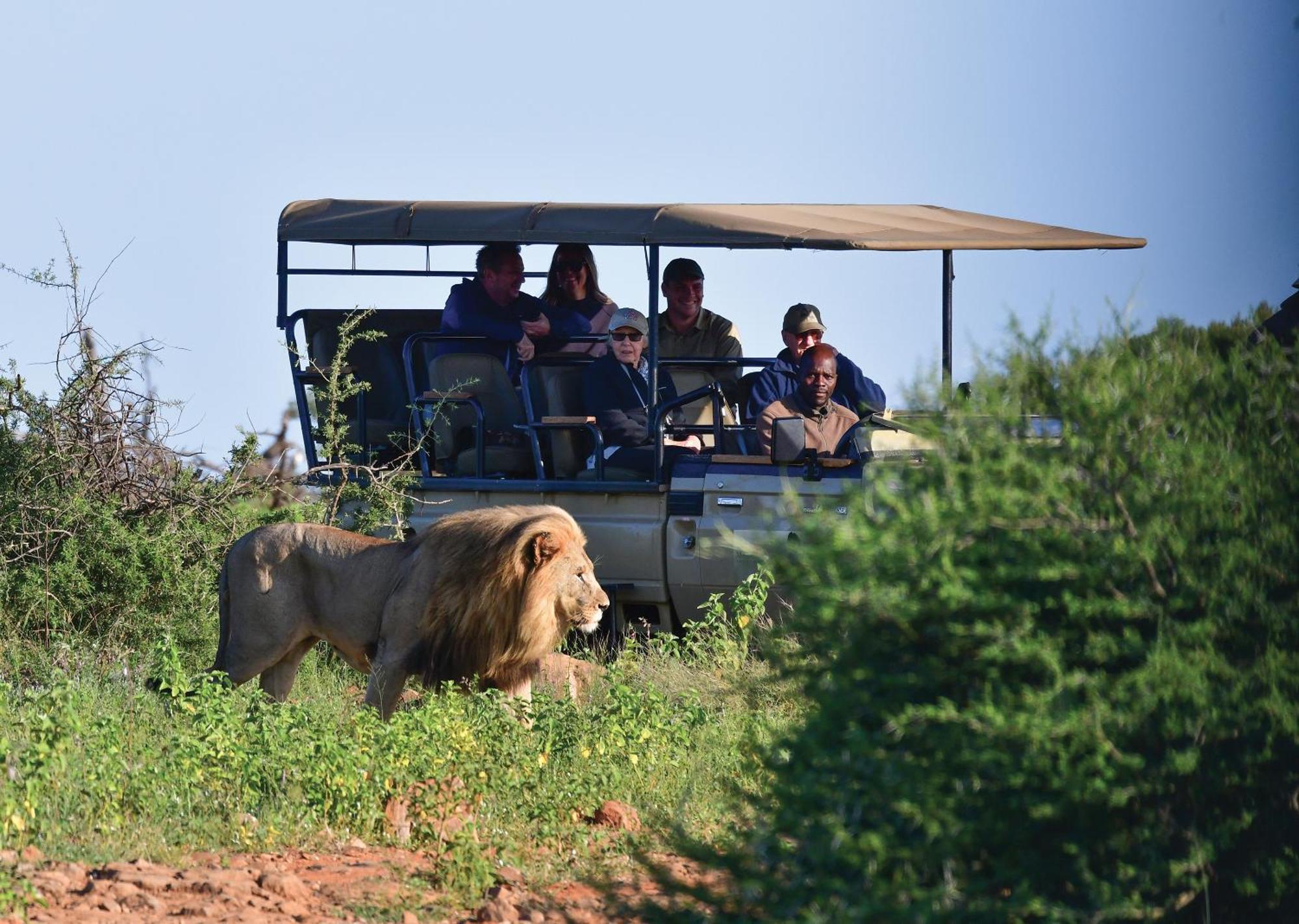 Madikwe River Lodge By Dream Resorts Madikwe Game Reserve Exterior photo